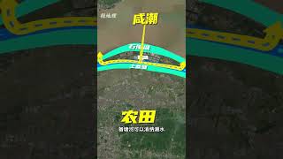 「恭喜你發明了錢塘江海塘！！」 #地理 #科普 #發明 #海塘 #錢塘江大潮