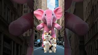 Cat Dance ❤️| Cute kitten #ai #cat #lovecats #cats#catvideos #funny #kittens #catlover 28022025A
