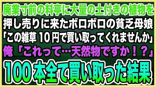 【感動する話】廃業寸前の料亭に大量の土付き植物を押し売りに来たボロボロの貧乏母娘「この雑草10円で買い取ってくれませんか」俺「この植物はまさか…！」→100本全て買い取った結果【泣ける話・朗読】