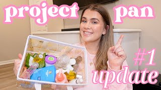 *project pan* UPDATE #1... 25 products in 2025 🎀
