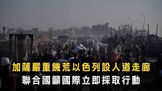 加薩嚴重饑荒以色列設人道走廊　聯合國籲國際立即採取行動