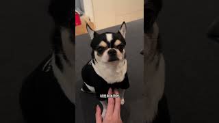 人活这一生就是来体验的。人生毫无意义，但活着就是要去赋予它一个意义。人生不是只来体验快乐的，除了快乐，其他情绪也很重要。勇于承担毫无意义的日子也是一种勇气，人生不过是一个不断得到，和放下的一个过