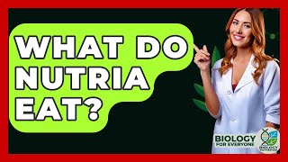 What Do Nutria Eat? - Biology For Everyone
