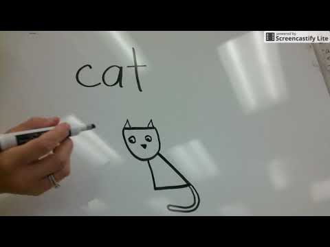 How to draw a cat