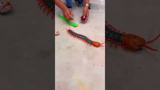 Remote Control Kankhajura and RC Snake #rcsnake