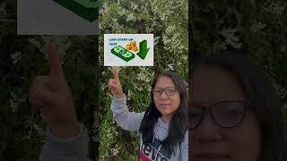 Why I chose  a Digital Business?  #digitalbusinessopportunity