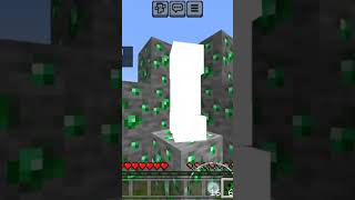 respect dog #shorts #minecraft #minecraftshorts #himlands #minecraftpocketeditiontexturepack #hive