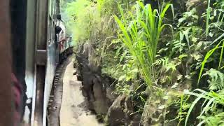Scenes of Ceylon