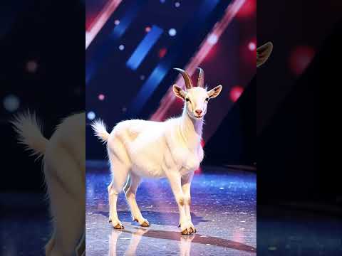 Talent show stage beauty transformation #shorts #agt