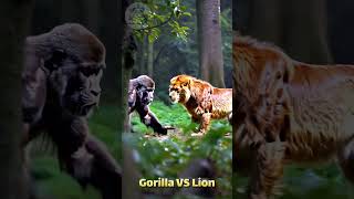GORILLA vs LION - Who Would Win in the Wildest Jungle Battle?