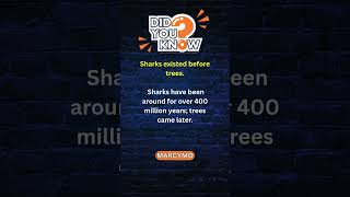 Odd Facts Everyone Should Know Did you know sharks are older than trees?