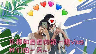 东穆和西西的vlog：70万粉丝创作者的一天是怎么样呢？西西也在哦