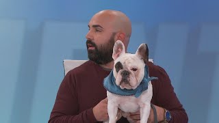 How Pierre the Therapy Dog Helps Sick Kids