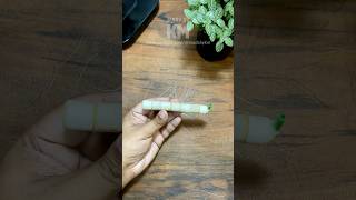 🔥 DIY Air Stone Using Old Aquarium Ceramic Rings!