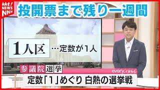 [2025 House of Councillors Election] A thorough explanation of the Kumamoto electoral district: A...