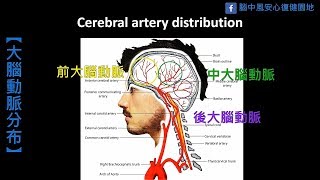 風情萬種腦中風，單元4：大腦中風介紹 (上)