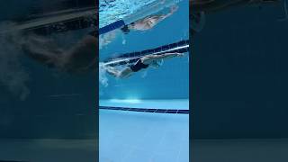 오늘은 접영 #수영#접영 #butterfly #swimming