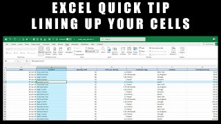 Excel Quick Tip Lining Up Your Cells