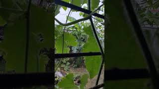 1 Nature’s Mood Swing ☀️🌧️