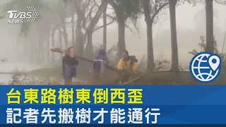 台東路樹東倒西歪 記者先搬樹才能通行｜TVBS新聞 @tvbsnews24live