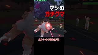 かっこよくて最強 あかつきのガチグマ【ポケモンSV】【ロマン】 #ショート動画 #ポケモン #ポケモンsv