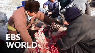 [ENG SUB] How Mongolian Nomads Survive in the Harshest Siberian Wilderness on Earth #PICKDOCU