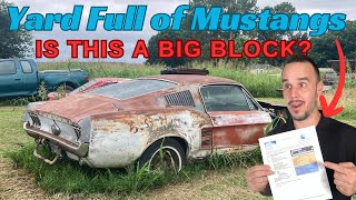 FOUND: Huge Stash of RARE Ford Mustangs while buying a 67 Fastback !