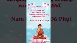 Lời Phật Dạy: Chăm Chỉ, Nghiệp Nặng Cũng Qua  #loiphatday #phatphap #phatphapungdung #baihoccuocsong