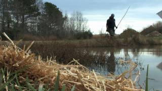 From the Field: Eradicating nutria from Chesapeake Bay marshes
