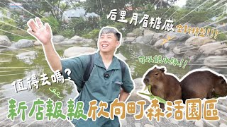 【新店報報】台中糖廠大轉型？餐廳、市集、動物農場、親子樂園應有盡有！欣向町森活園區