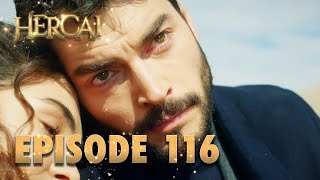 Hercai | Herjai Urdu - Episode 116