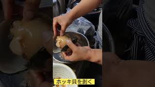 ホッキ貝