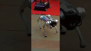 COEP Mindspark 🔥🔥 Robotic Dog 🐕