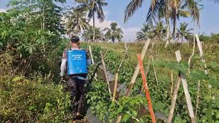 Smart Tips for Efficient Liquid Nutrient Spraying with Advanced Sprayers - Agriculture Farming