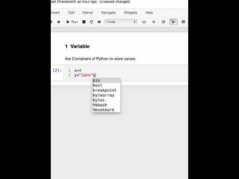 Variable in Python