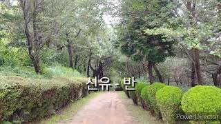 신유 - 반(가사)