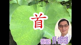 首 字的運用