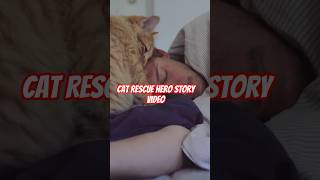 Cat Rescue Hero Story Video #CatRescue #HeroCat #CatLovers #AnimalRescue #InspirationalPets