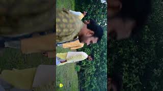 Groom Squad🙏 Bts + result ✨Satyam's haldi ceremony 💛 by Akela Studio Araria