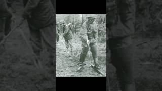 Ww2 landmines #ww2 #warhistory #warshorts #military