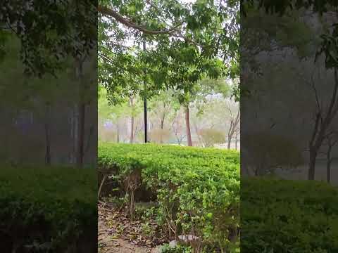 video 20250315 152308