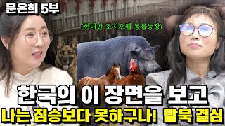 [문은희 5부] 드라마에서 한국의 이 장면을 보고 나는 짐승보다 못하구나! 탈북 결심