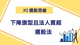 下降旗型且法人買超選股法│XQ操盤高手