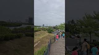 台南安平紅樹林出海口 好漂亮的景觀