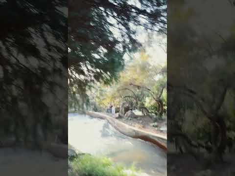 River ride at Knotts! #asmr #streamer #youtubeshorts #subscribe #like #california #love #viralvideo