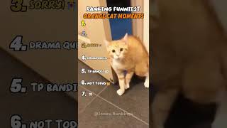 Ranking The Funniest Orange Cat Moments
