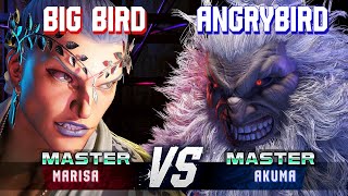 SF6 ▰ BIG BIRD (Marisa) vs ANGRYBIRD (Akuma) ▰ High Level Gameplay