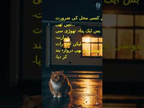 اس نے اپنی خاموشی کو آواز بنا لیا — ایک کہانی فریم بہ فریم