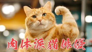 A muscular cat actor