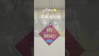 【实测推荐】香薰片挂片，轻松为家带来清新香气！